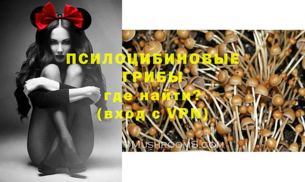дживик Алзамай