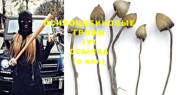 дживик Алзамай