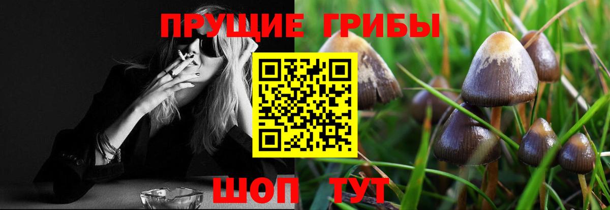 Псилоцибиновые грибы Magic Shrooms Павловский Посад